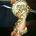 Hugh Warren - Instagram Profile Picture of Hugh Warren (@warren_hugh) on Instagram