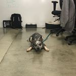 Profile Picture of Jacob Langlois (@jacob__langlois) on Instagram