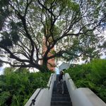 Profile Picture of Nell Gonzalez (@nelly_lacubanaa) on Instagram