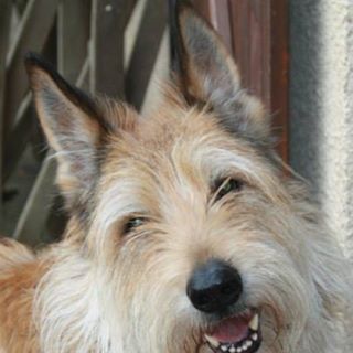 Profile Picture of Ellen Adam (@ellen.adam.7) on Facebook