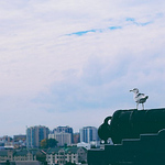 Profile Picture of Tony Liu (@macmastertony) on Flickr