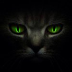 Profile Picture of Ефремов Михаил (@michael_cote_efrem0ff) on Instagram