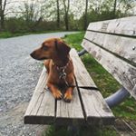 Profile Picture of Brittany Fraser (@brittany_and_theodore) on Instagram