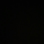 Profile Picture of DARIUS LOFTON (@dariuslofton8849) on Youtube