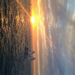 Profile Picture of Erez Barak (@erez.barak) on Instagram