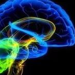 Profile Picture of Mitzi Winkler (@mitzi.winkler.9) on Facebook