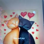 Profile Picture of Maria Barros (@Maria-Barros) on Facebook