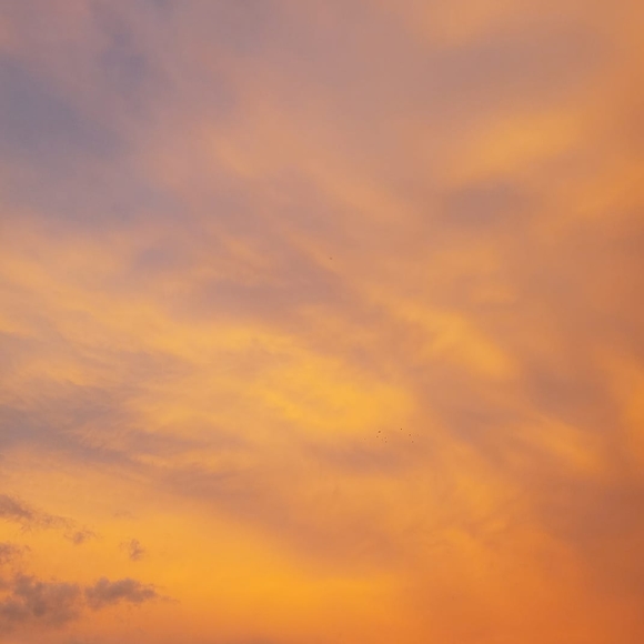 Profile Picture of Tracy Dishner-hurd (@tracy0319) on Poshmark