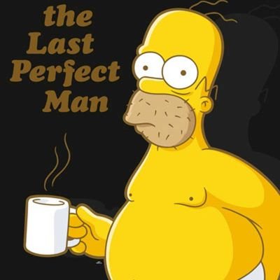 Profile Picture of Homer (@martinW17374574) on Twitter
