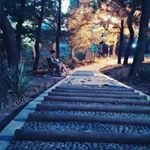 Profile Picture of Tim Yoon (@timothyyoon) on Instagram