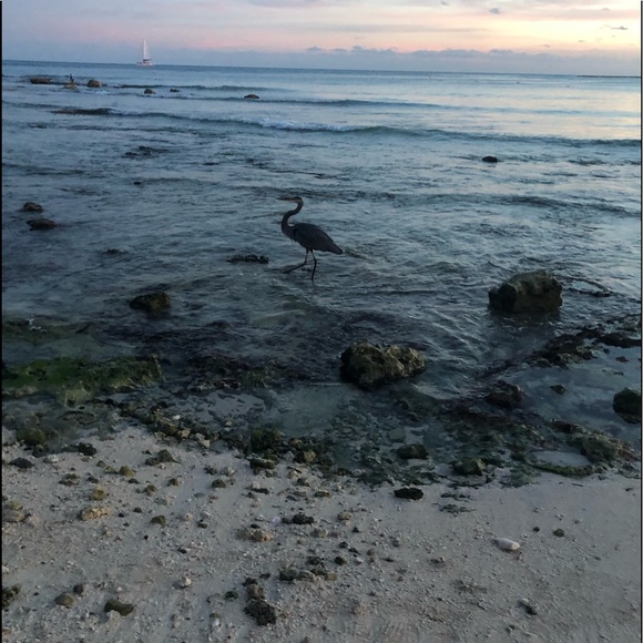 Jesse Tufty - Poshmark Profile Picture of Jesse Tufty (@jessetufty) on Poshmark