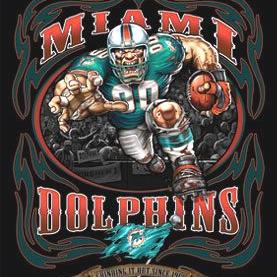 Profile Picture of Joe Capuano (@DolphinJoe) on Twitter