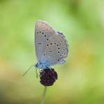 Ralph Robertson - Instagram Profile Picture of Ralph Robertson (@ralphrobertson9320) on Instagram