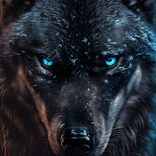 Profile Picture of Jeremy Pruden (@jpruden2009) on Youtube