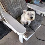 Profile Picture of Diane McGinnis (@dmcginnis760) on Instagram