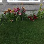 Profile Picture of Kim McCurry (@missiefire) on Instagram