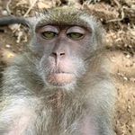 Kyle Santiago - Instagram Profile Picture of Kyle Santiago (@ly_tiagoo) on Instagram