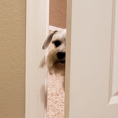 Joel Rizo - Twitter Profile Picture of Joel Rizo (@xCletusKasadyx) on Twitter