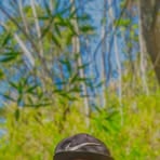 Profile Picture of Jean Claude Jhonny (@jean.claude.jhonny.2025) on Facebook