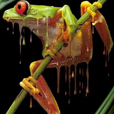 Profile Picture of Virginia Stopinski (@EtR_Wolf) on Twitter