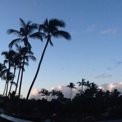 Profile Picture of Nancy Hay (@haynancy) on Twitter