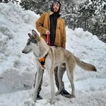 Profile Picture of Nigel Williams (@nig3l) on Instagram