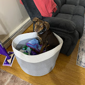 Profile Picture of Brittney Simon (@brittneysimon67) on Youtube