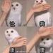 Profile Picture of Sinetsu (@xiaoyeyang26) on Pinterest