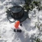 Chris Colman Hautz - Pinterest Profile Picture of Chris Colman Hautz (@walris4639) on Pinterest