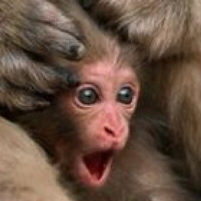 Profile Picture of Portia Thompson (@portia_thompson) on Twitter