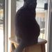 Profile Picture of Joy Buchkowski (@jbee76) on Pinterest