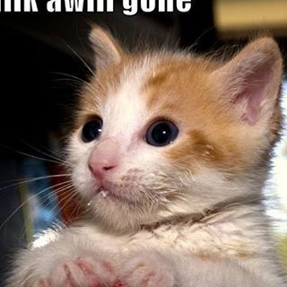 Profile Picture of Edvin Ness (@edvin.ness) on Facebook