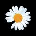 Profile Picture of Nohan (@nohannnnn) on Pinterest