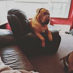 Profile Picture of Matt Woodall (@woodall.matt) on Instagram