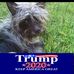 Profile Picture of Lynette Davidson Goad (@lynette.davidsongoad) on Facebook