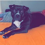 Michael Vigo - Instagram Profile Picture of Michael Vigo (@fendi_szn414) on Instagram