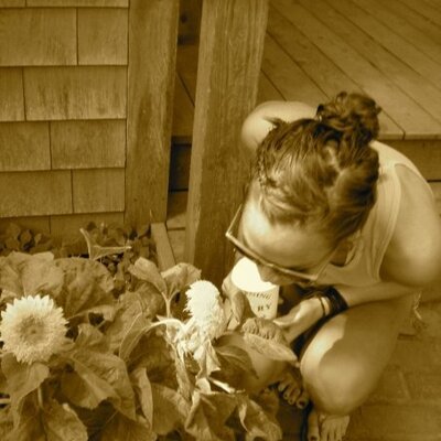 Profile Picture of Stephanie Morrissey (@StephMorrissey) on Twitter