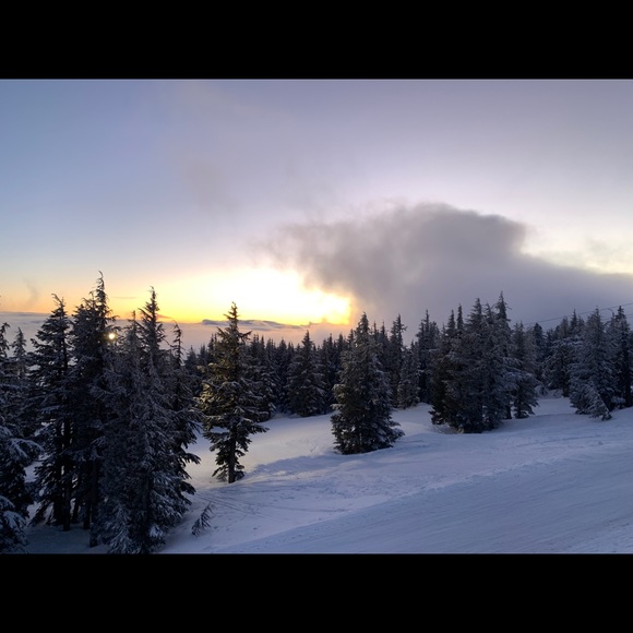 Profile Picture of Monique Jonak (@nimojo) on Poshmark