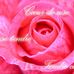 Profile Picture of Jeanne Masseaux (@martine.petitjean.58) on Facebook
