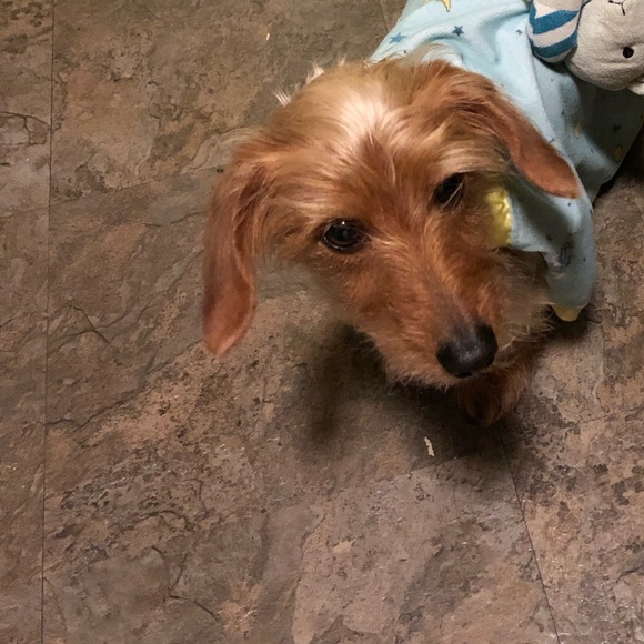 Profile Picture of Cassondra Richardson (@crich129) on Poshmark