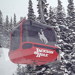 Profile Picture of scott_w_reed (@scott_w_reed) on Flickr