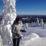 Profile Picture of Ann-Louise Engdahl Wikborg (@annlouiseew) on Instagram