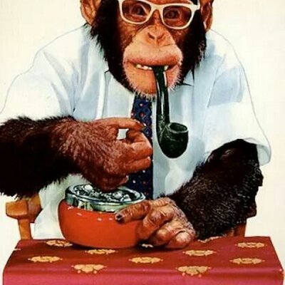 Profile Picture of Terence Brogan (@teddyjohn1986) on Twitter