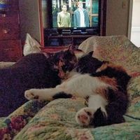 Profile Picture of Grady Berryhill (@grady-berryhill-1) on Quora