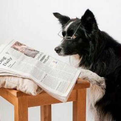 Profile Picture of Jacob Boon (@RWJBoon) on Twitter