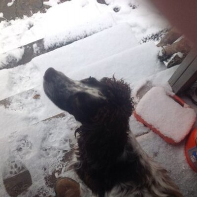 Profile Picture of Steven Nobles (@stvnbls) on Twitter