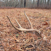 Profile Picture of Joseph Rubino (@josephrubino5330) on Youtube