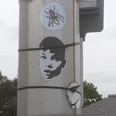 Profile Picture of Peter Handley (@PeterHa06358080) on Twitter