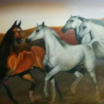 Profile Picture of Adolfo Ceballos (@AdolfoCeballos6) on Twitter