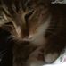 Profile Picture of Erykah Murray Macgregor (@erykah.murraymacgregor.52) on Facebook